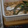 reptilien_045