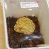 reptilien_046