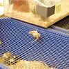 reptilien_061