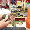 reptilien_074